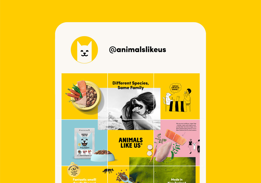 宠物食品vi设计中手机网站设计.jpg