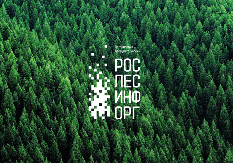 数字科技感的林业公司logo.jpg