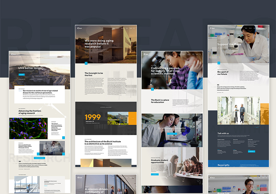巴克（Buck）衰老研究所企业vi设计网站的规划.jpg
