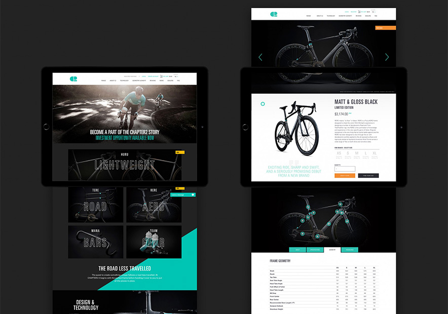 自行车网站的官网展示.jpg
