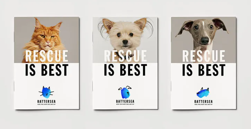 五角星为伦敦的狗猫慈善机构巴特西做的品牌设计作品.png