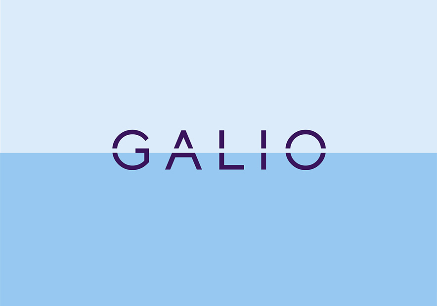 Galio集团国际房产vi设计-房产开发公司logo设计赏析-探鸣品牌VI设计公司.jpg