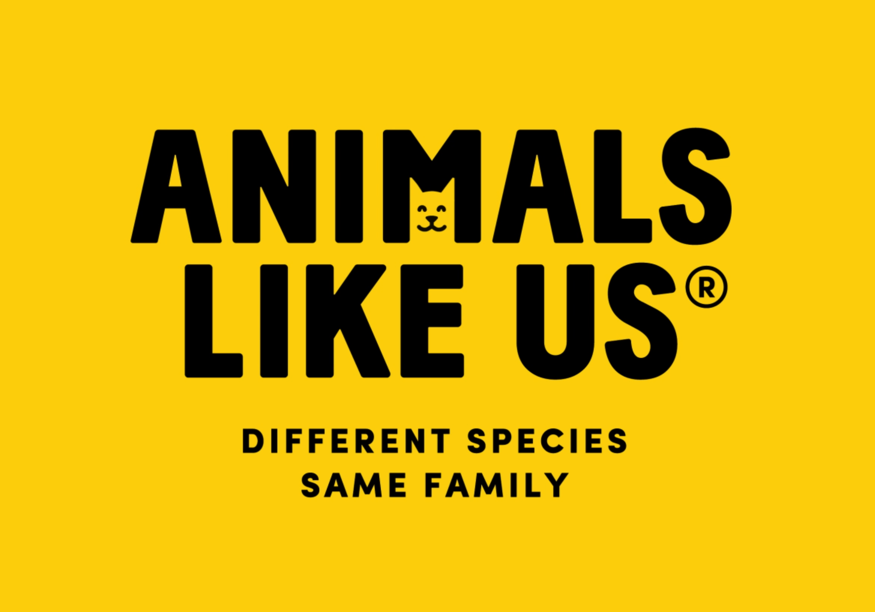 企业全套形象设计VI公司为宠物食品创意品牌logo和宣传物料.png