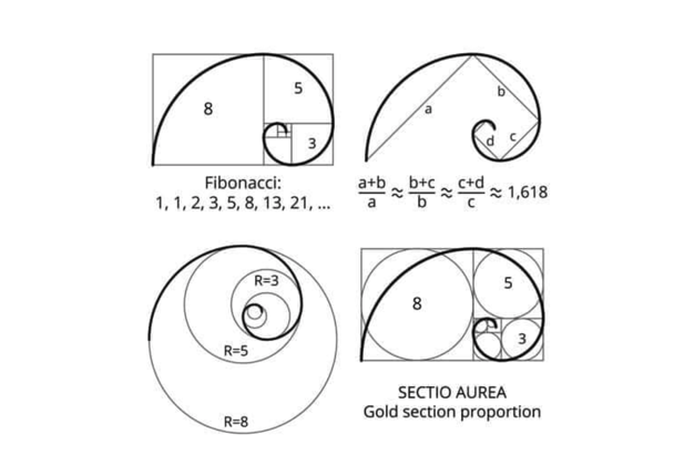 将黄金比例应用于标志设计.png