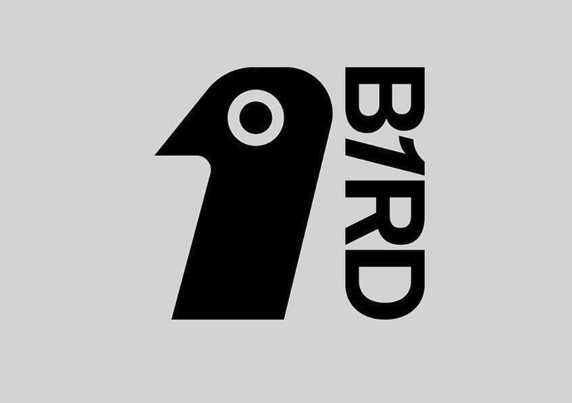 佛山品牌设计公司分享-美国Bird影视制作工作室品牌VI设计-探鸣品牌设计公司.png
