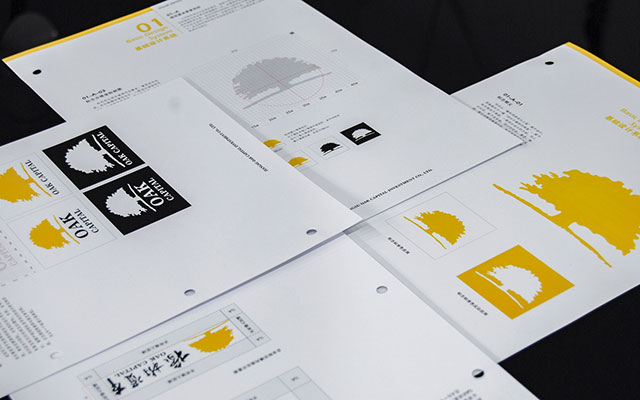 vis设计合肥vi设计公司设计VI设计手册的技巧.jpg