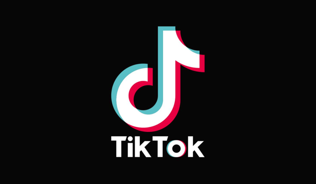 TikTok 标志的设计元素.png