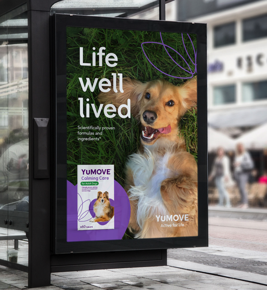 宠物护理创意宣传海报.png