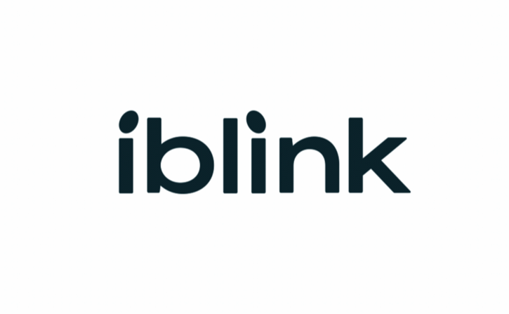 iblink智能家居科技公司vi设计手册全套-智能家居logo设计.png