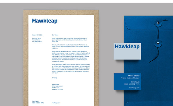 Hawkleap航空公司数字管理平台VI设计与logo-探鸣设计.jpeg