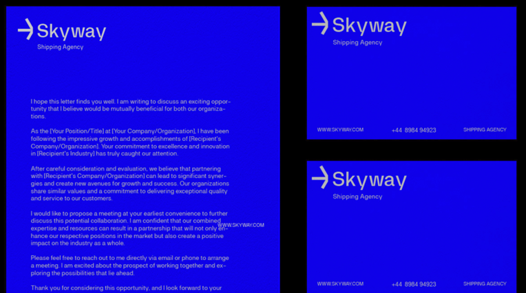 调色板在代表 Skyway 的核心价值观和愿望方面发挥着至关重要的作用.png