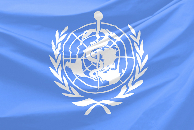 世界卫生组织logo.jpg