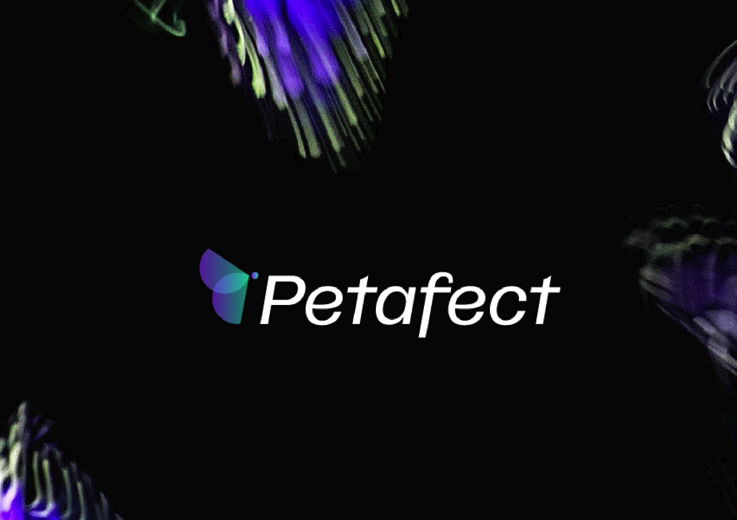 科技公司蝴蝶元素logo设计.png