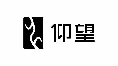 比亚迪仰望logo设计理念是什么-探鸣设计.jpeg